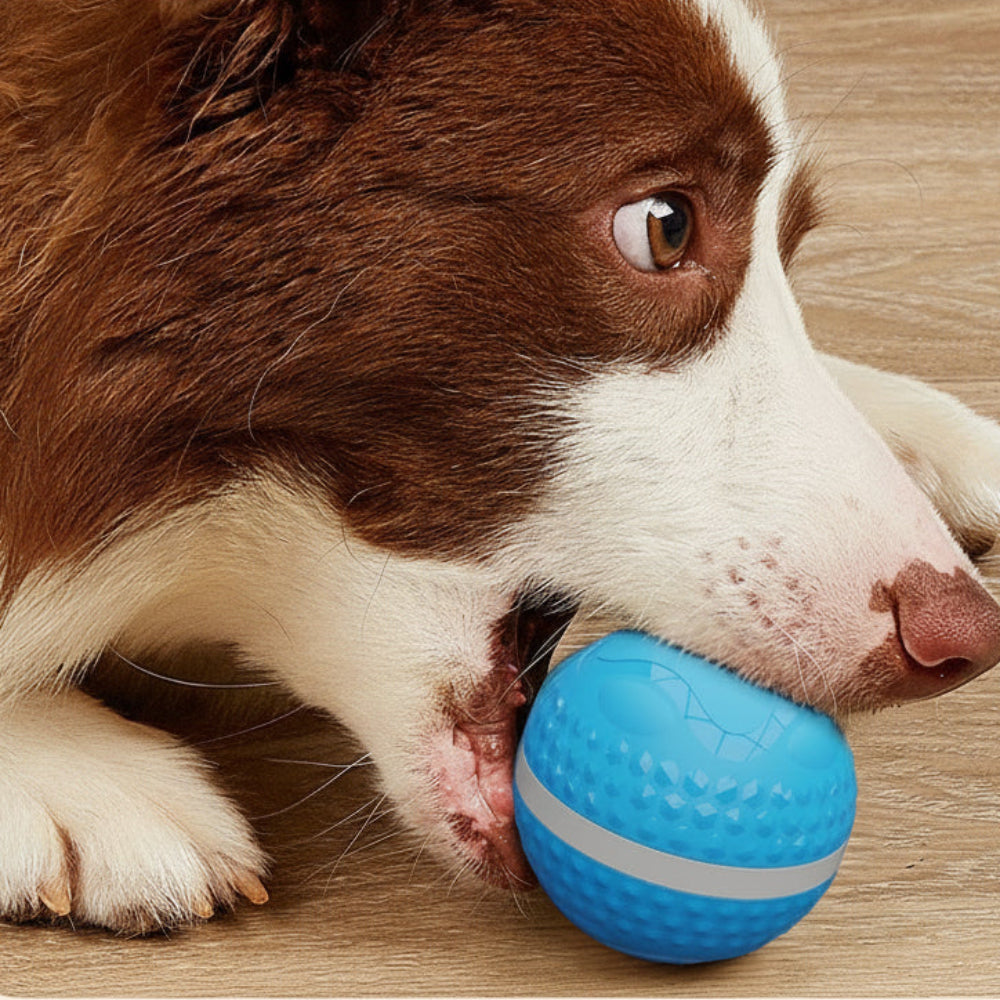 Snoutt BounceIQ™ Smart Play Ball