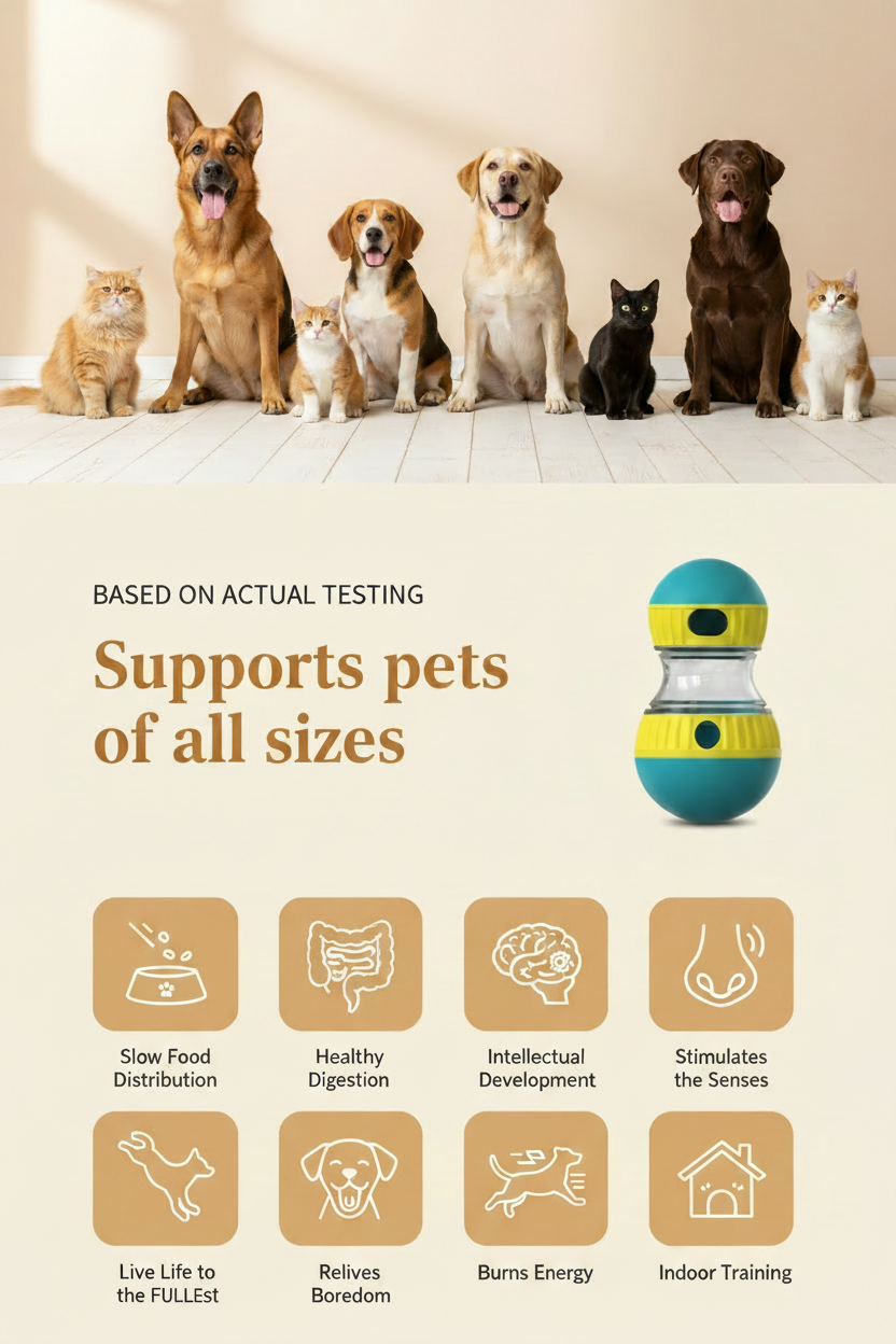 Infographic with character-by-character Fullest and Relieves spelling